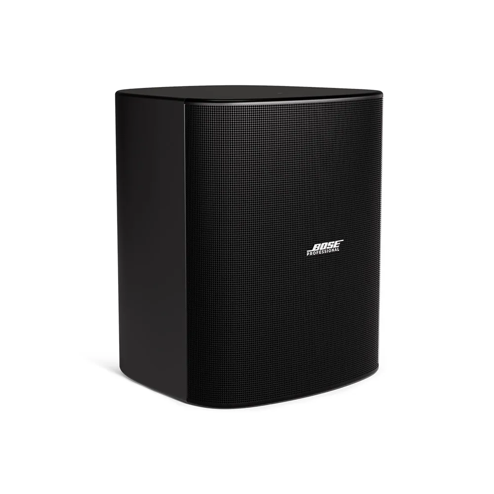Bose DesignMax DM12SE