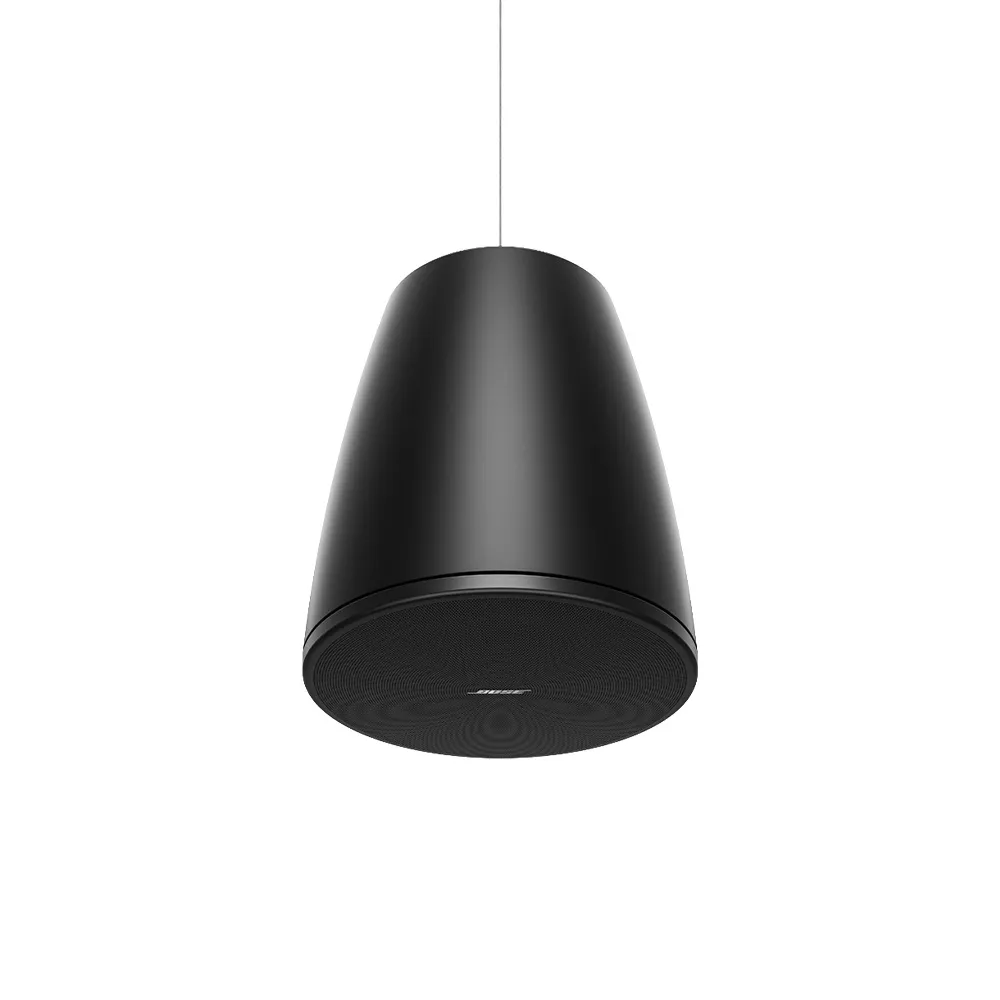 Bose DesignMax DM6PE (par)