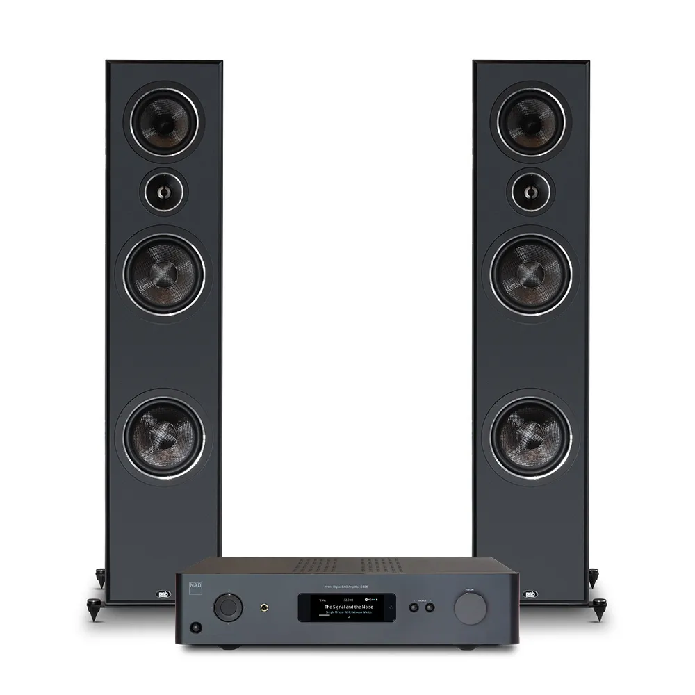NAD C 379 & PSB T65