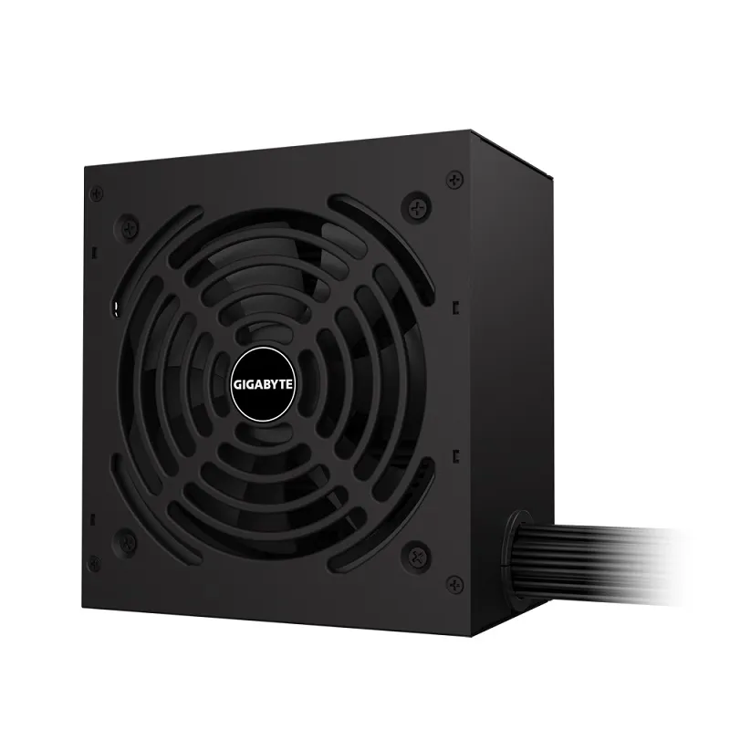 Gigabyte GP-P650G GEU1