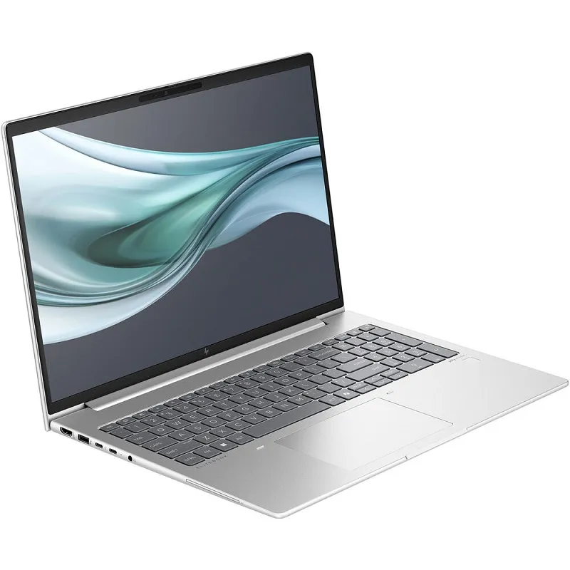 HP EliteBook 660 G11 Pike Silver (9Y7D8ET)