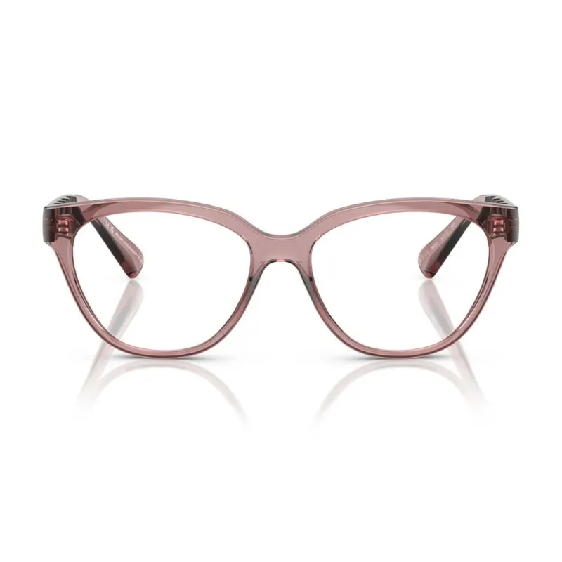 Armani Exchange AX3117U 8359 54