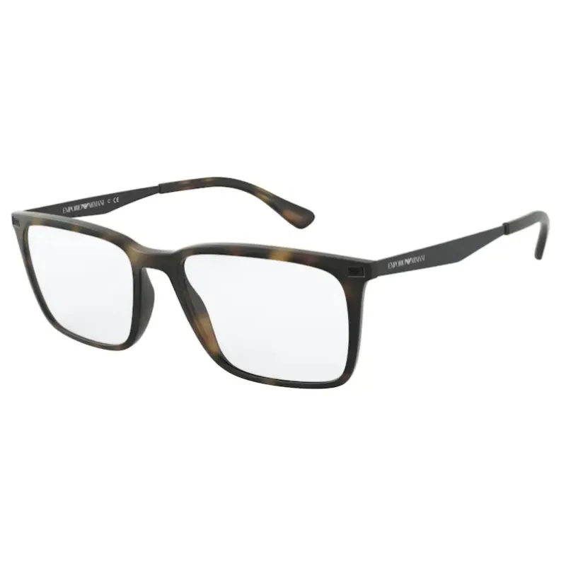 Emporio Armani EA3169 5089 55