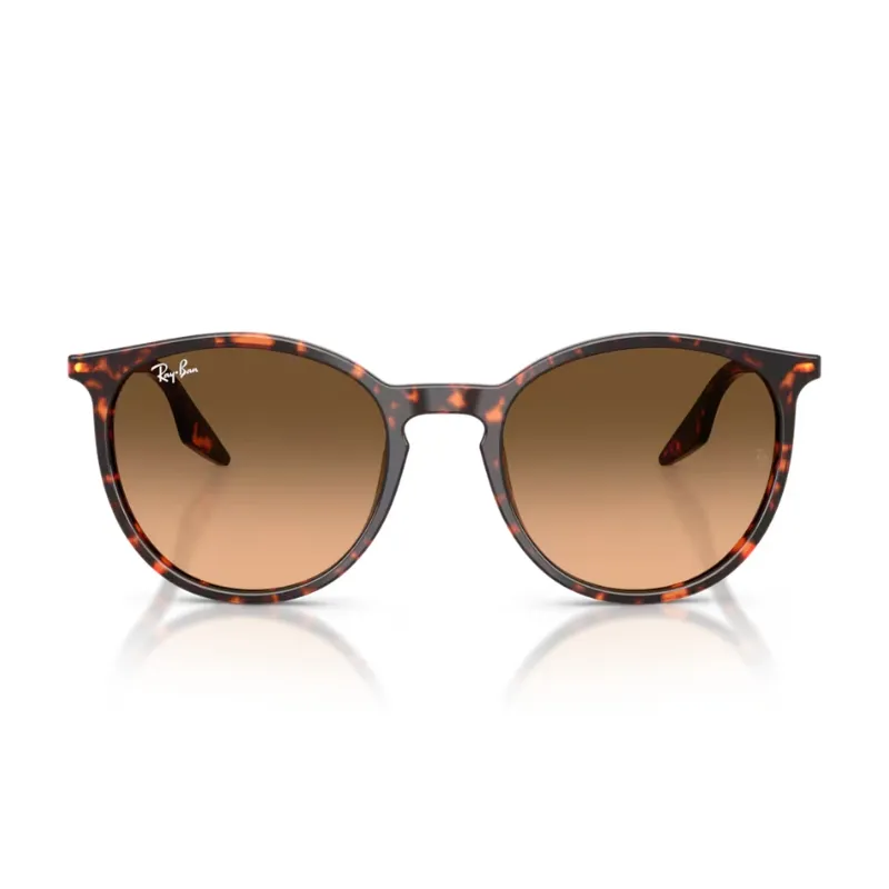 Ray Ban RB2204 14293B 51