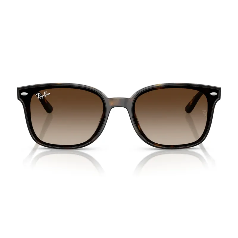 Ray Ban RB4461D 710/13 64