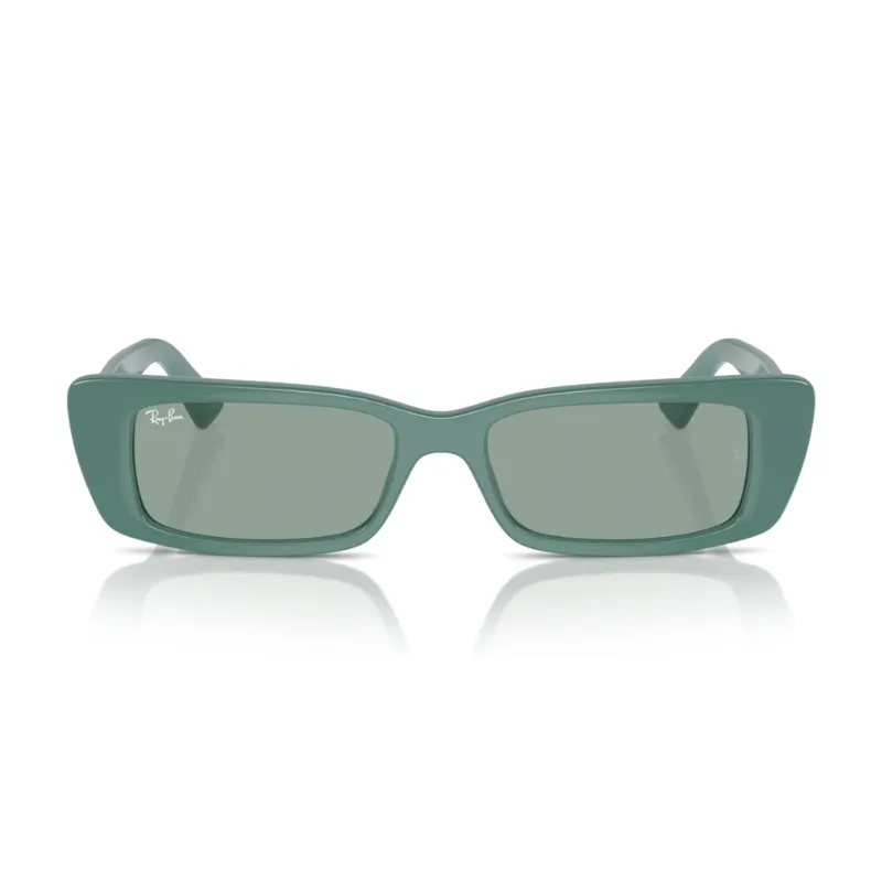 Ray Ban Teru RB4425 676282 54