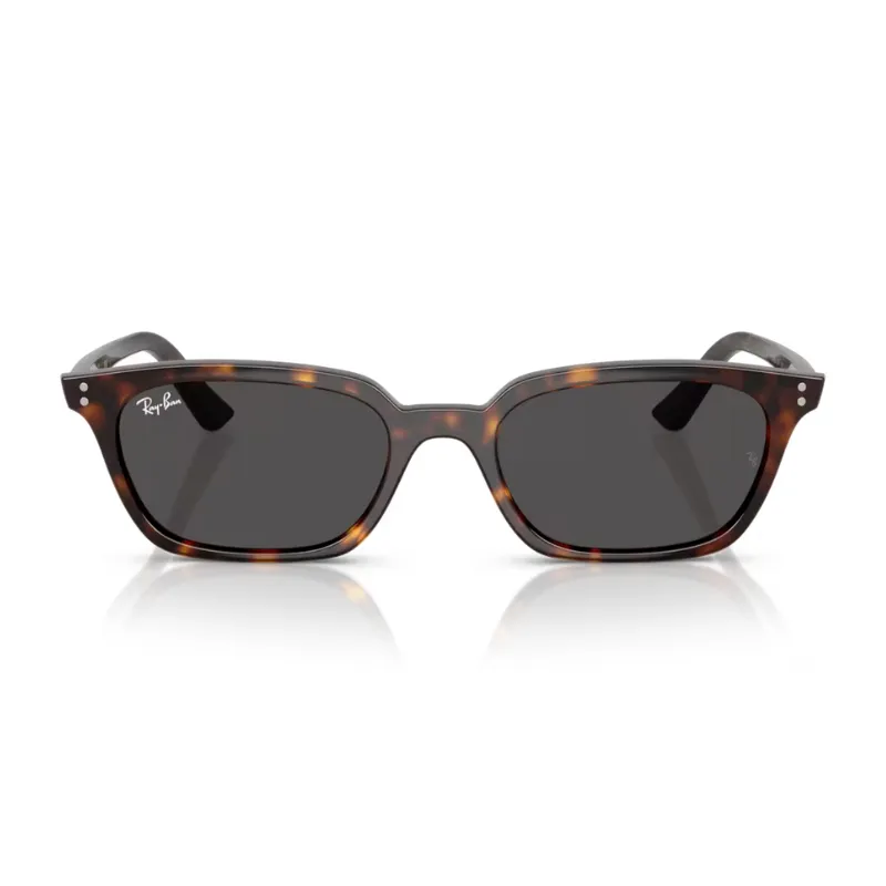 Ray Ban Zaya RB4456 135987 53
