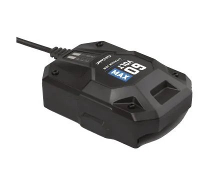 Punjač za bateriju BC 6020 #60V MAX60V