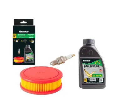 Servisni kit za MTD ThorX 45 OHV, 140 cm³ sa Auto-čokom 9100-X1-0004