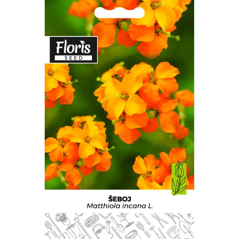 FLORIS-Cveće-Šeboj Letnji 0,5g