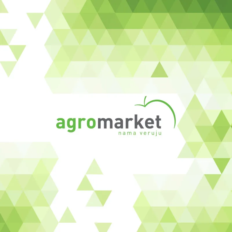 Lančanik sa prstenom