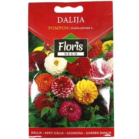 Cveće Dalija Pompon seme 0.3g - 10kom. FLORIS