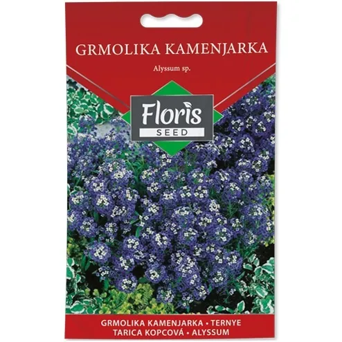 Cveće Grmolika kamenjarka seme 0.5g - 10kom. FLORIS