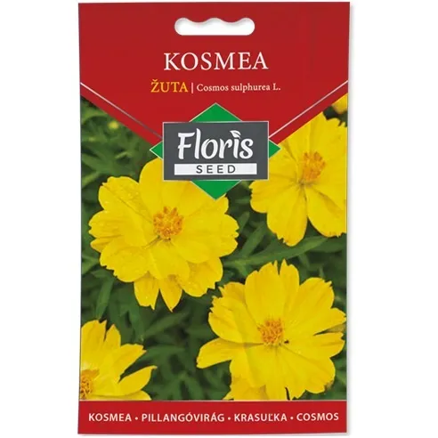 Cveće Kosmea žuta seme 0.5g - 10kom. FLORIS