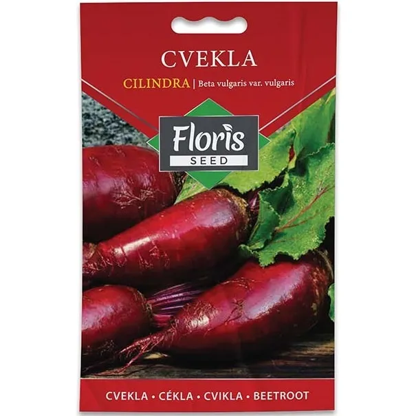 Cvekla Cylindra seme 3g - 10kom. FLORIS