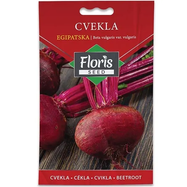 Cvekla Egipatska seme 3g - 10kom. FLORIS