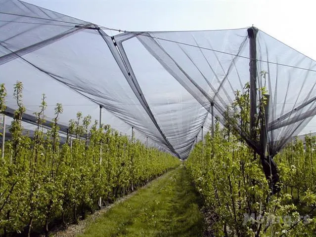 Mreža protivgradna 2x100m 40g 200m2