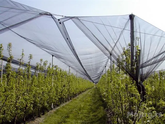 Mreža protivgradna 8x100m 40g 800m2