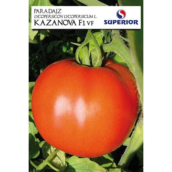 Paradajz Kazanova F1 250S seme 1kg SUPERIOR