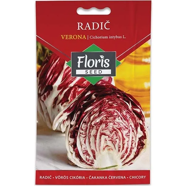 Radič Verona seme 1g - 10kom. FLORIS