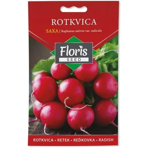 Rotkvica Saxa 20g seme - 10kom. FLORIS