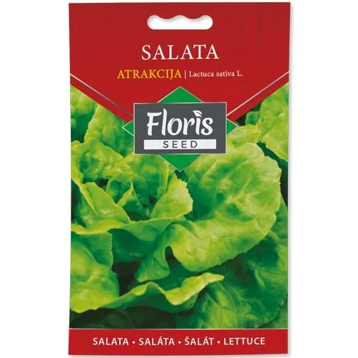 Salata Atrakcija seme 20g - 10kom. FLORIS
