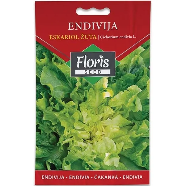 Salata Endivija Eskariol žuta seme 1g - 10kom. FLORIS