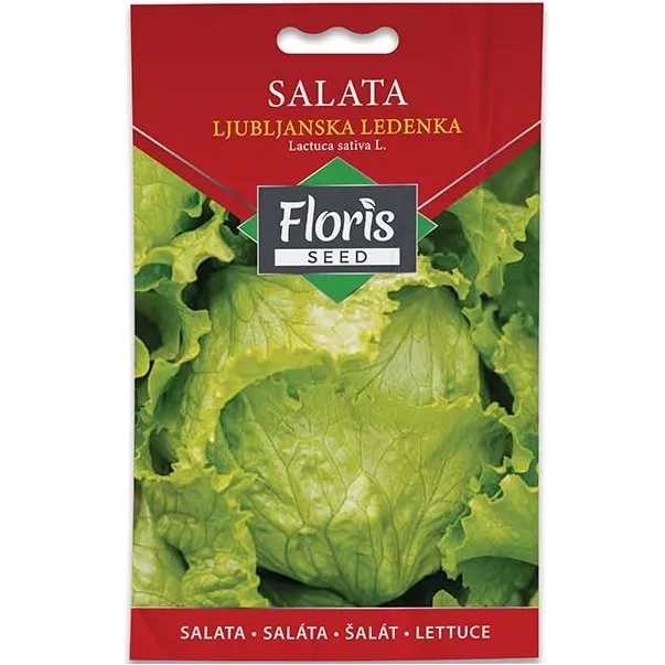 Salata Ljubljanska ledenka seme 2g - 10kom. FLORIS