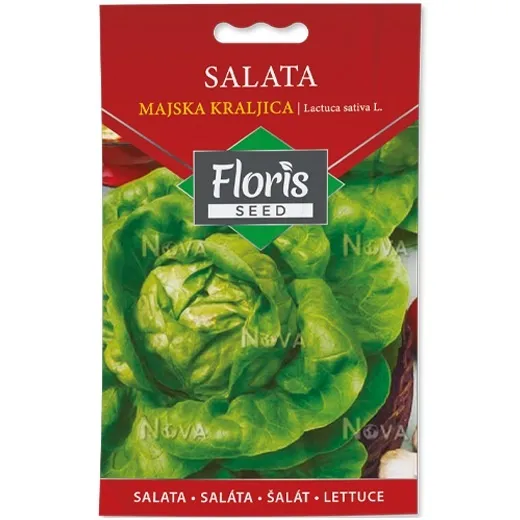 Salata Majska kraljica seme 20g - 10kom. FLORIS