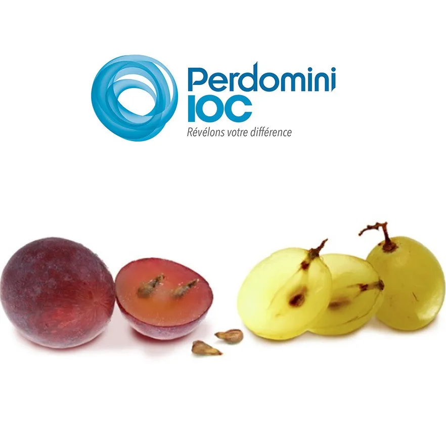 Tanin za vino Opera Seed, Perdomini IOC 100g