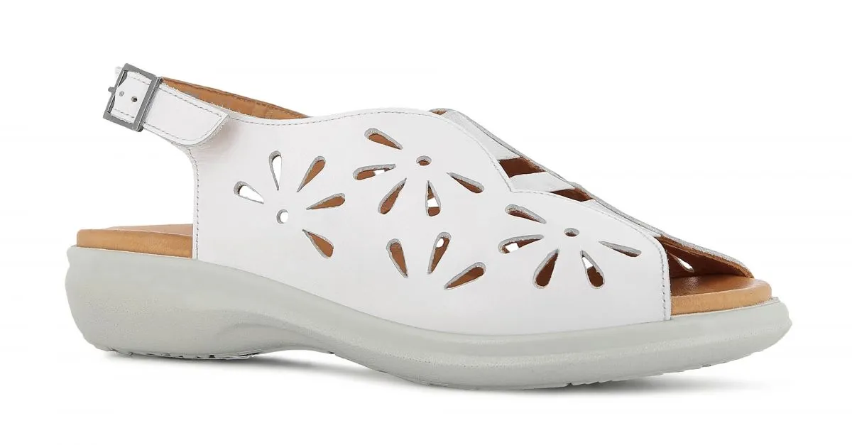 ESTER 0S402                sandala