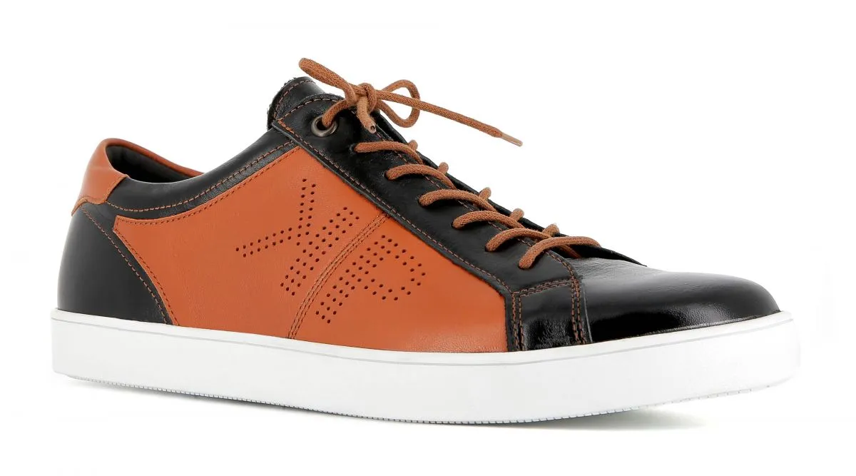 LARS 615B2                patika