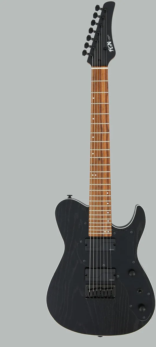 FGN Fujigen JIL73-ASH-DE-R Open Pore Black elekt...
