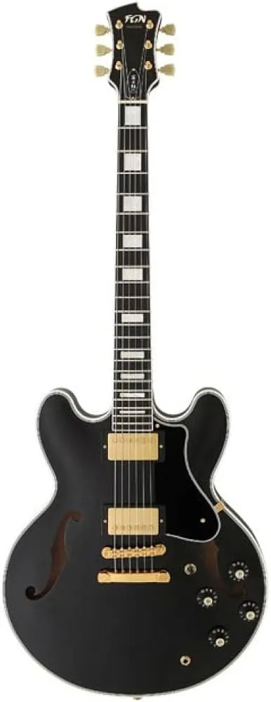 FGN Fujigen MSA-HP-C Black električna gitara