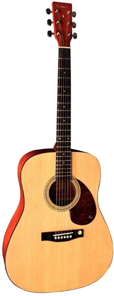 Gewa Music Tenson D1 Dreadnought Natural