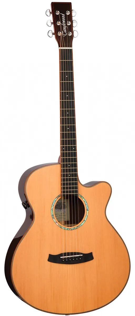 Tanglewood TRS4CE Rosewood Smart folk elektro-ak...