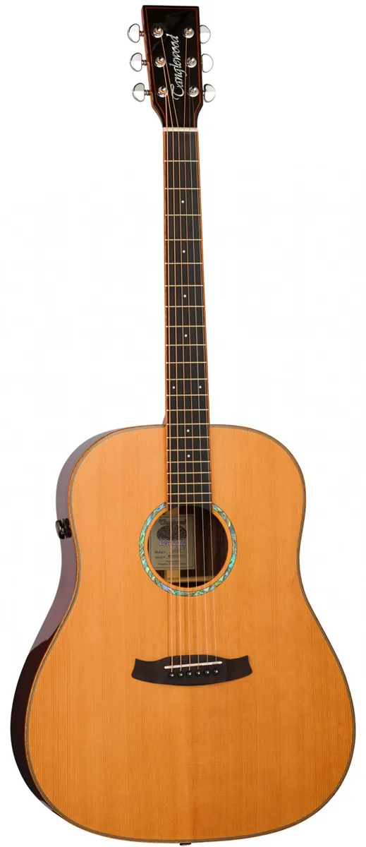 Tanglewood TRS5SE Rosewood Smart elektro-akustič...
