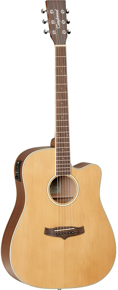 Tanglewood TW10 Winterleaf elektro-akustična gitara
