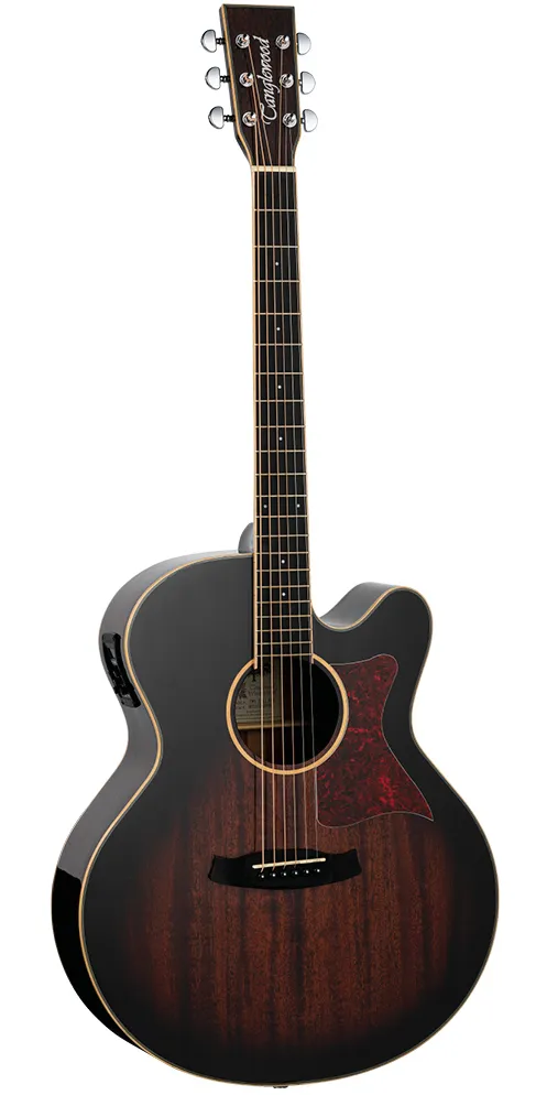 Tanglewood TW4 E SJ AVB Winterleaf elektro-akust...