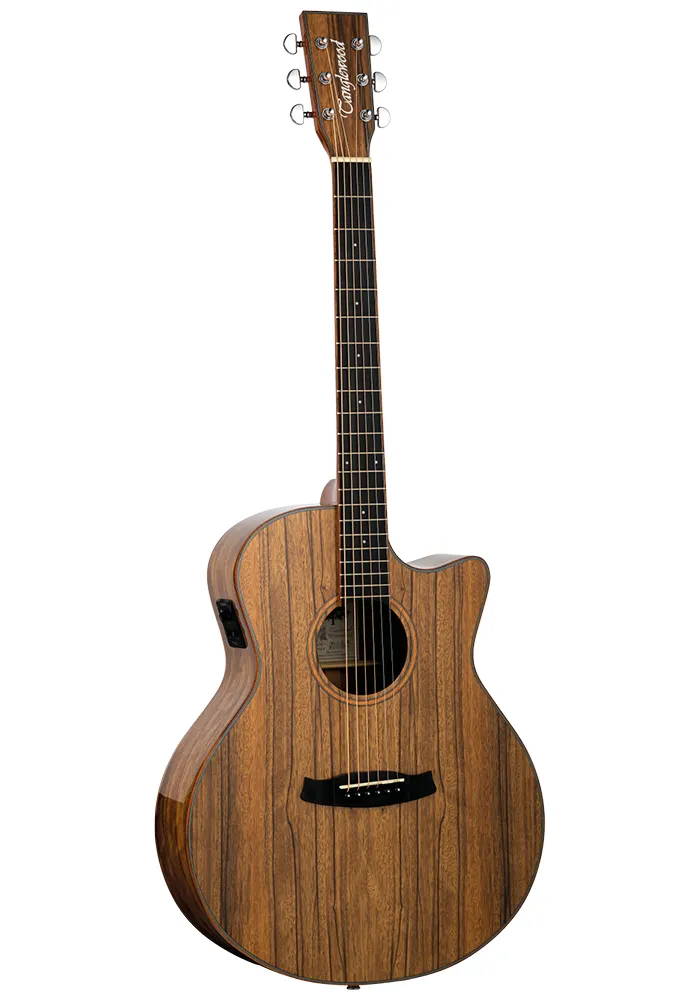 TangleWood  TW4-VC-PW Acoustic Winterleaf