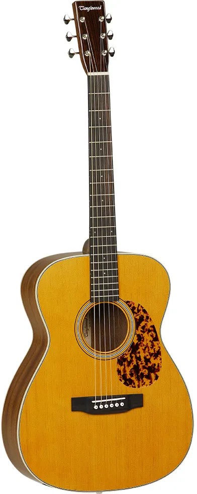 Tanglewood TW40 O AN E Sundance Historic Natural...