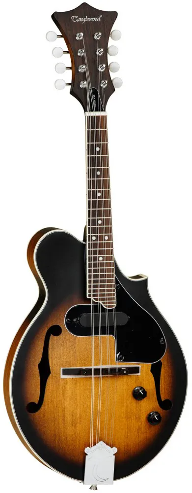 Tanglewood TWM F VS E Union mandolina