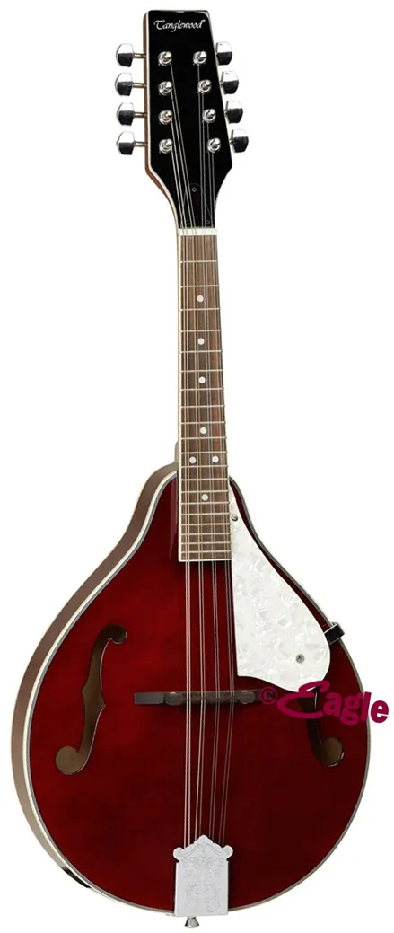 Tanglewood TWM T WR Union Dark Wine mandolina