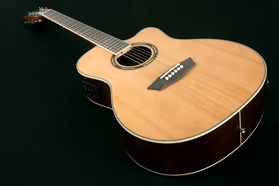 Washburn AG70CE-A-U Apprentice AC/EL