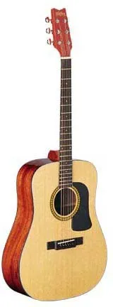 Washburn D10S