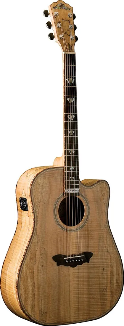 Washburn D49CESP 125th Anniversary