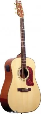 Washburn DK20T - akustična gitara