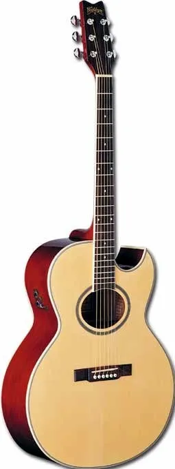 Washburn EA10