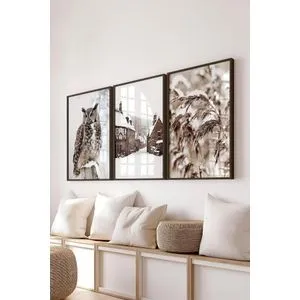 Č-300729 - 5070 Set dekorativnih slika (3 komada)