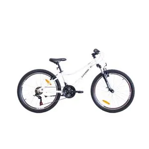 24" CROSS DAISY 2026 / White